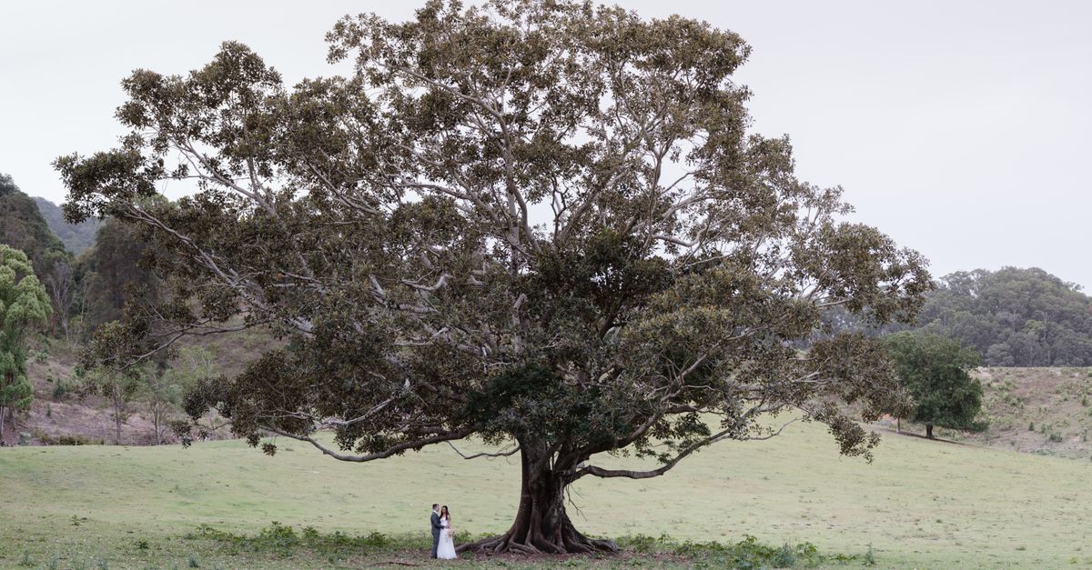 Affordable All-Inclusive Venues in Coffs Harbour