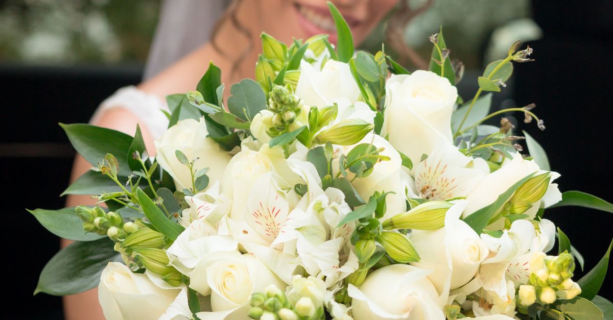 Captivating Backdrops for Unique Outdoor Weddings in Coffs Harbour